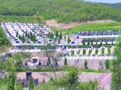 河南焦作廉价非法公墓受欢迎 曾经治理无果而终