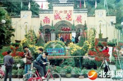雅安花展 一座城市的美学记忆