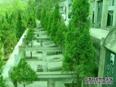 [经营性公墓][公益性公墓]用英语怎么说