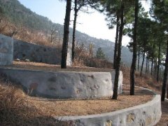 墓地占地上百平米价格堪比房价 墓主仍健在