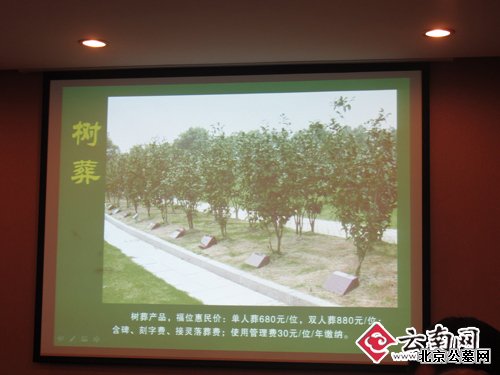 昆明晋龙如意园树葬