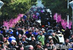 北京清明节指南：祭扫出行停车防病养生全囊括