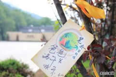 “系一条丝带，送一份祝福”端午亲情纪念活动现场纪实