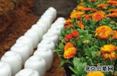 贵阳推行绿色殡葬 很多百姓称不能接受