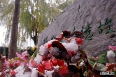 天寿陵园初雪 美不胜收