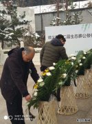 顺义区殡仪馆组织第二届生态葬公祭活动