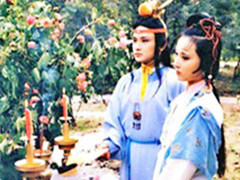 《红楼梦》中的现代绿色殡葬理念