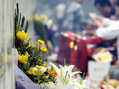 烧纸换鲜花,文明祭祀故人