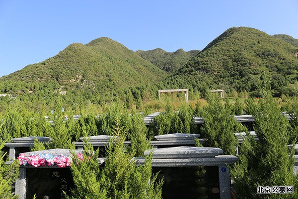 北京景仰园环境