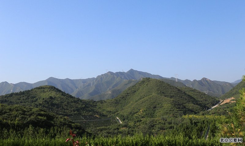 景仰园环境