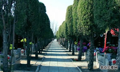 万桐园墓地