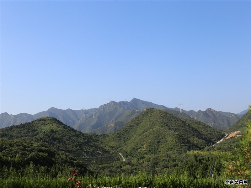 景仰园里面的朝翠园