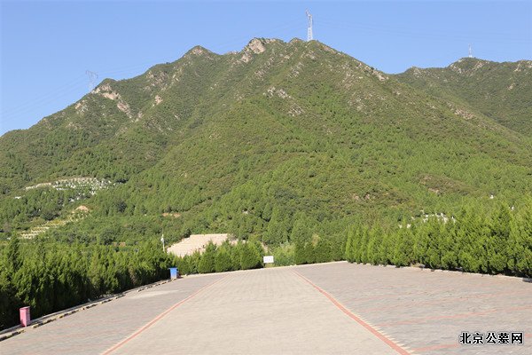 景仰园树葬