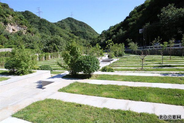 九公山纪念林服务