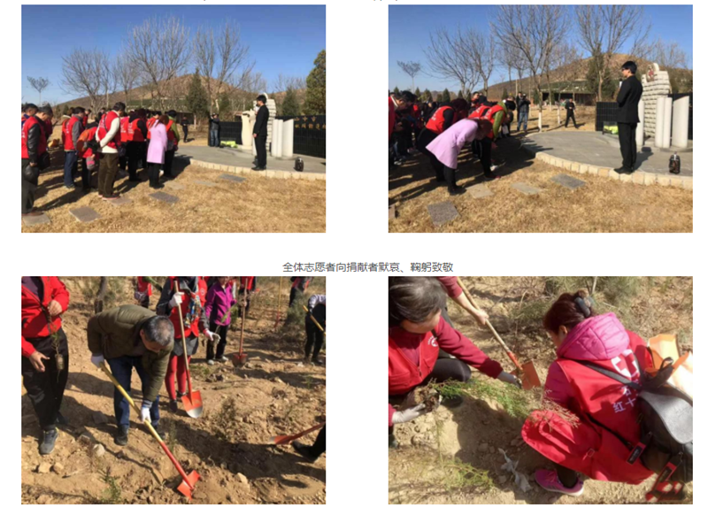 河北古中山陵园植树活动