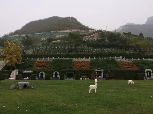 昌平桃峰陵园