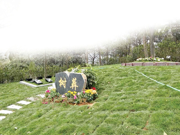 树葬价格