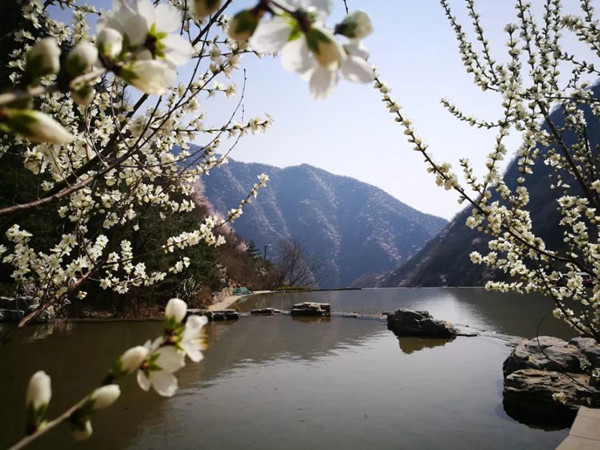 九公山长城纪念林