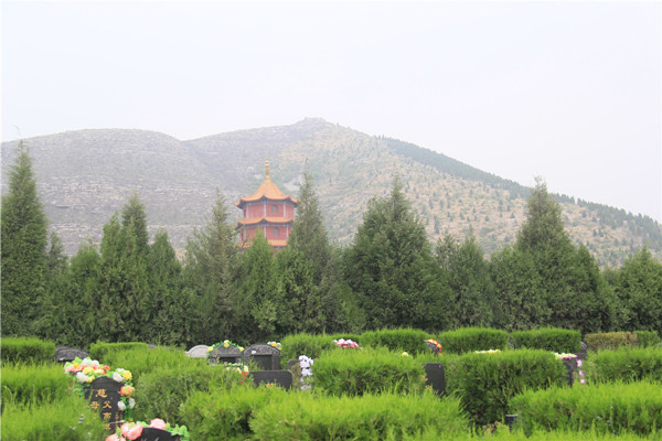 皇家龙山陵园墓地