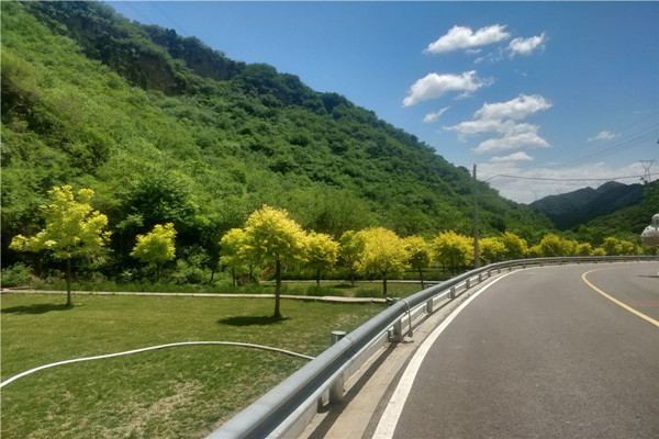 九公山长城纪念林