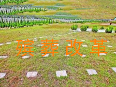 殡葬改革引发的对公共环境的思考