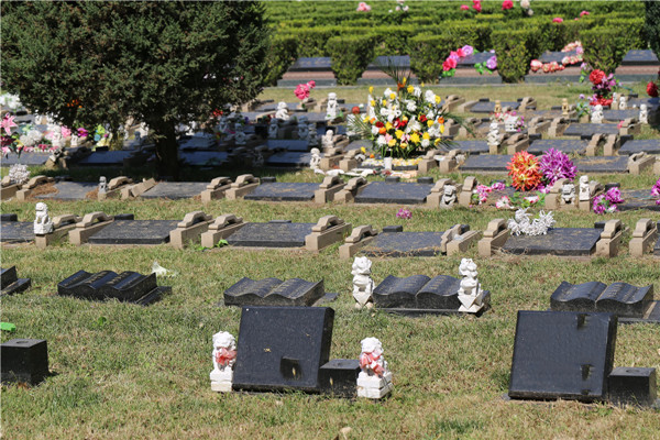 北京朝阳区长青园骨灰林墓地
