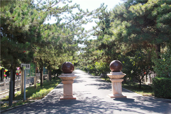 朝阳陵园景观