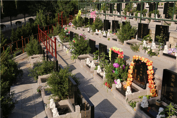墓地