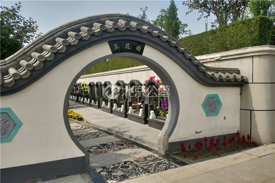 兰花园
