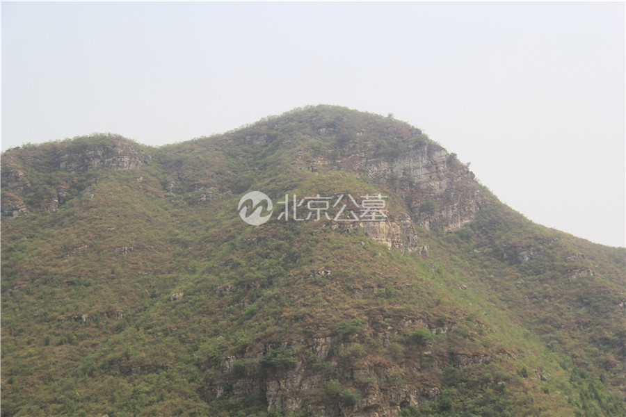 绿景