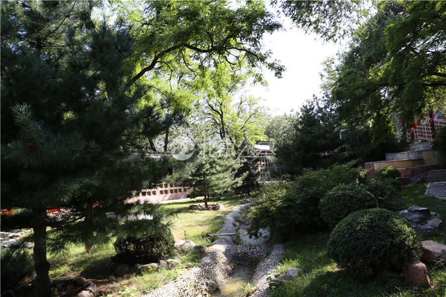 绿景