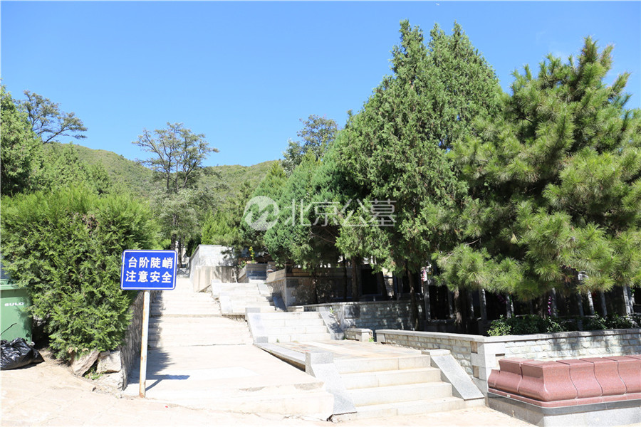 绿树