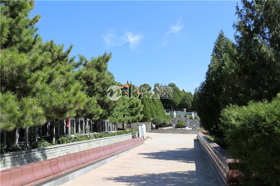 道路景