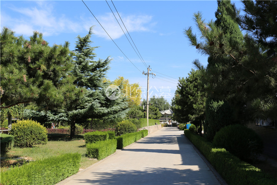 道路两侧