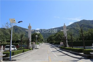道路两侧