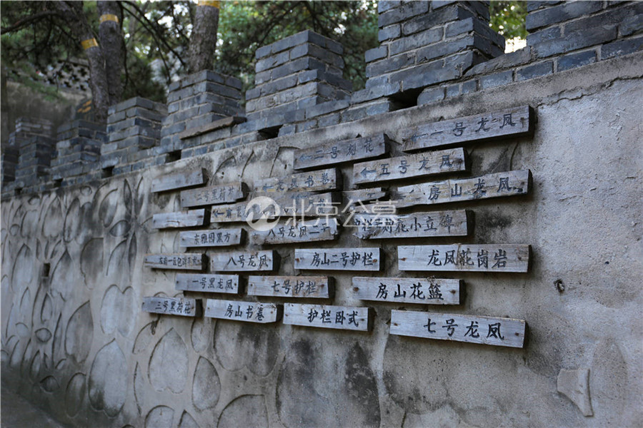 景观