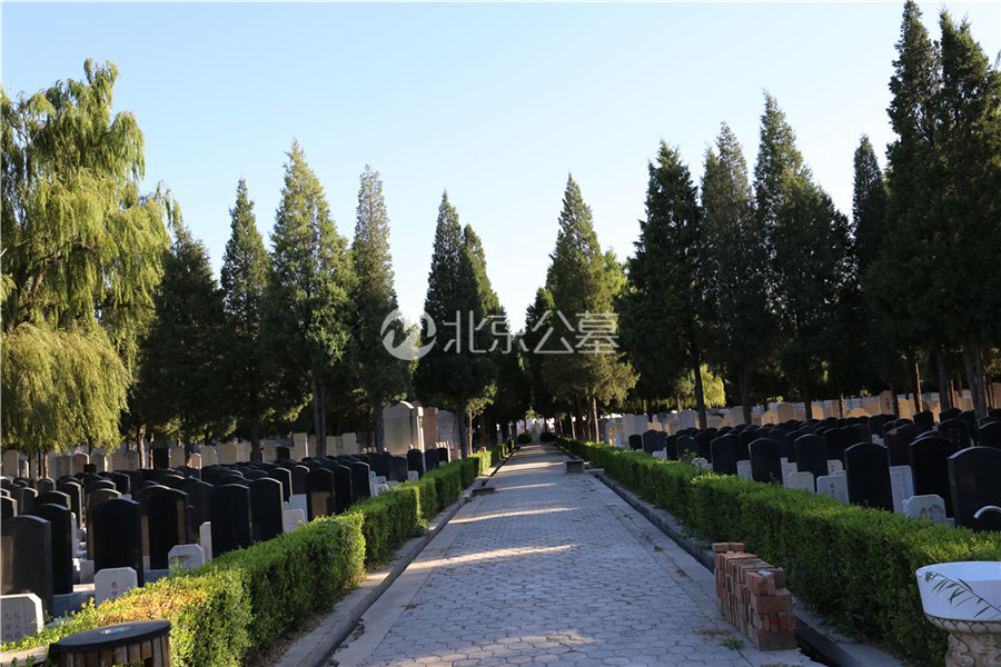 公墓图片