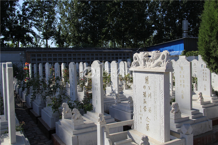 墓区一角