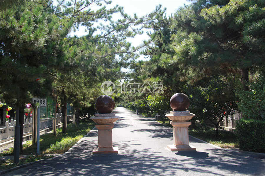 陵园道路景观