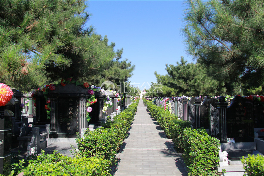 墓区道路