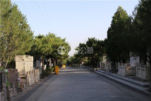 道路两侧