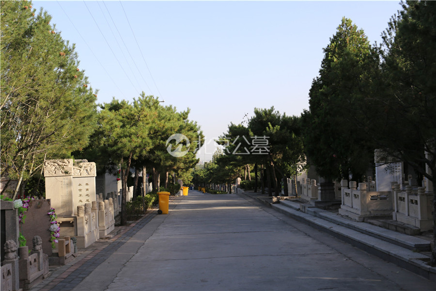 道路两侧