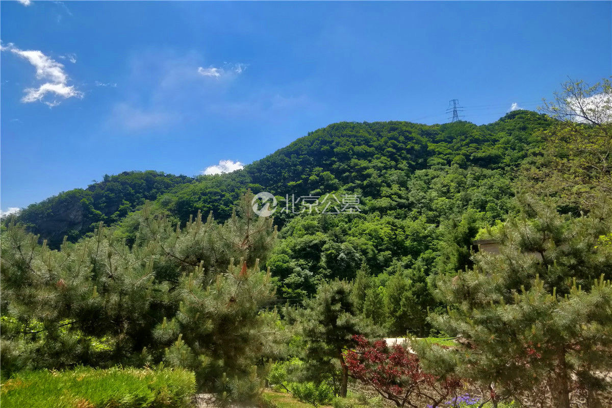 青山蓝天