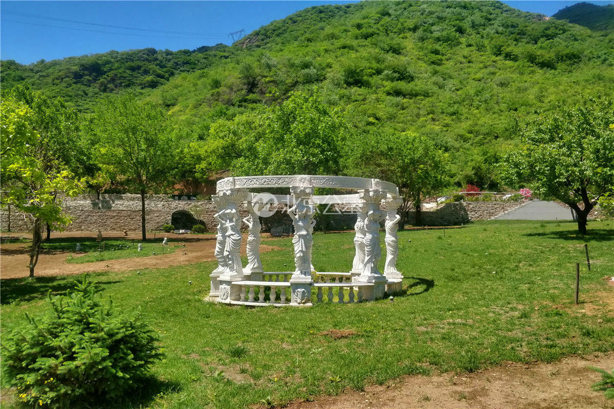 自选区