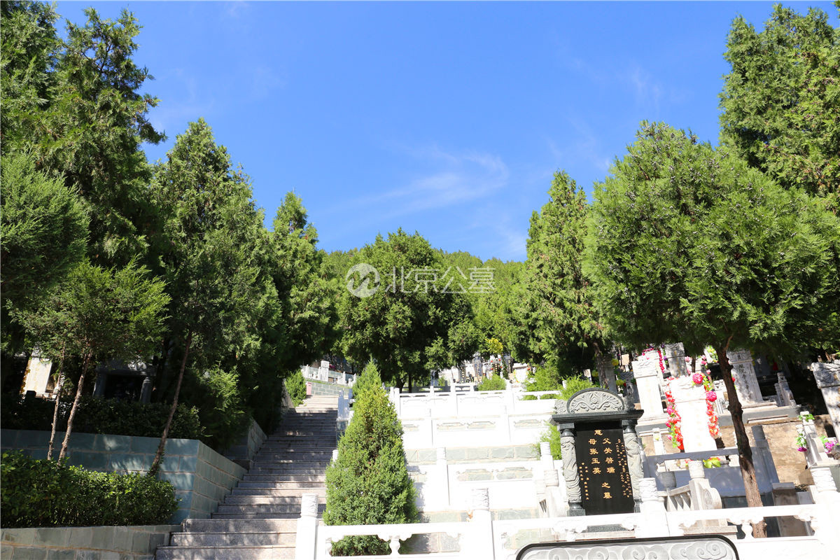 阶梯墓区