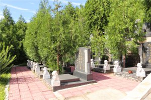 墓区