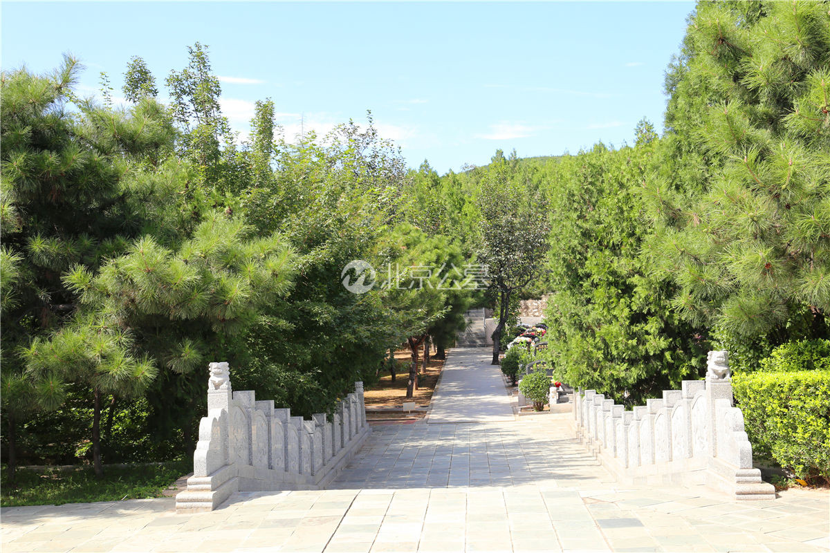 阶梯