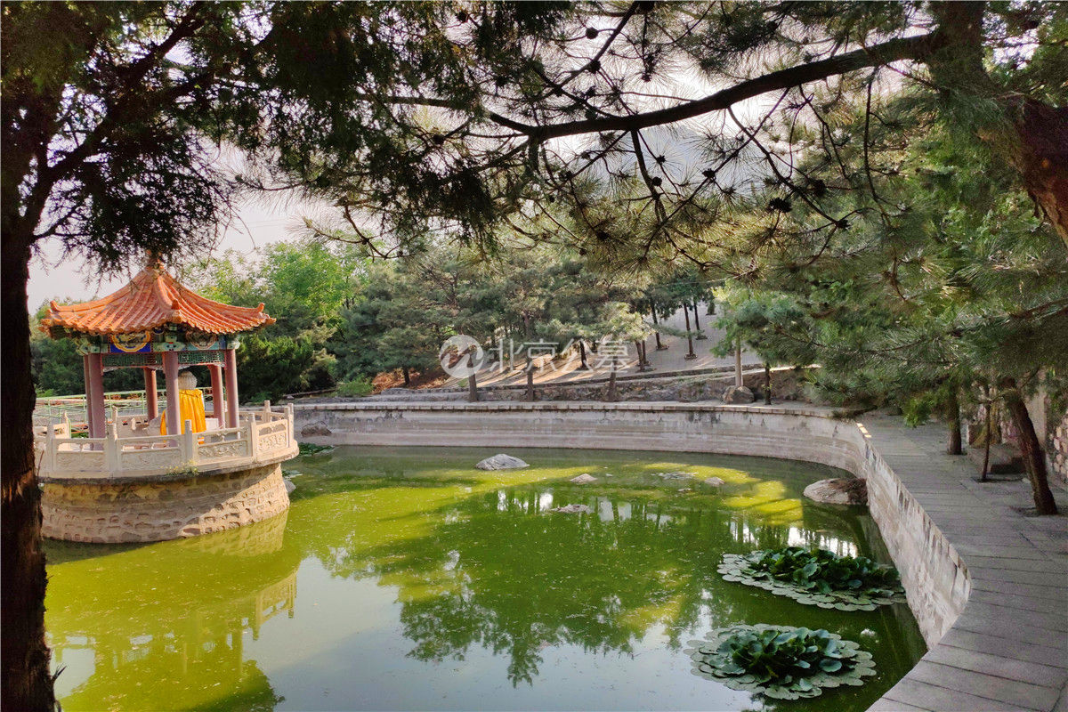 水池