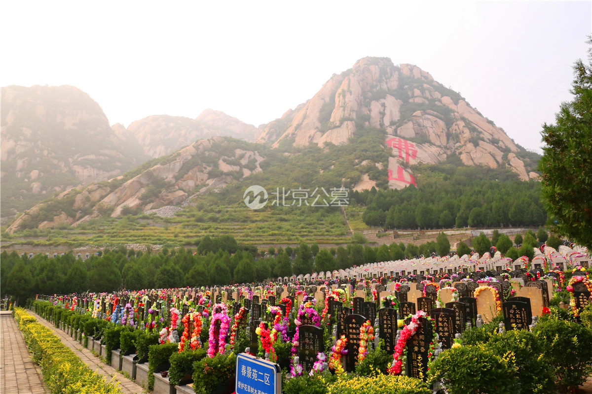 墓区全景