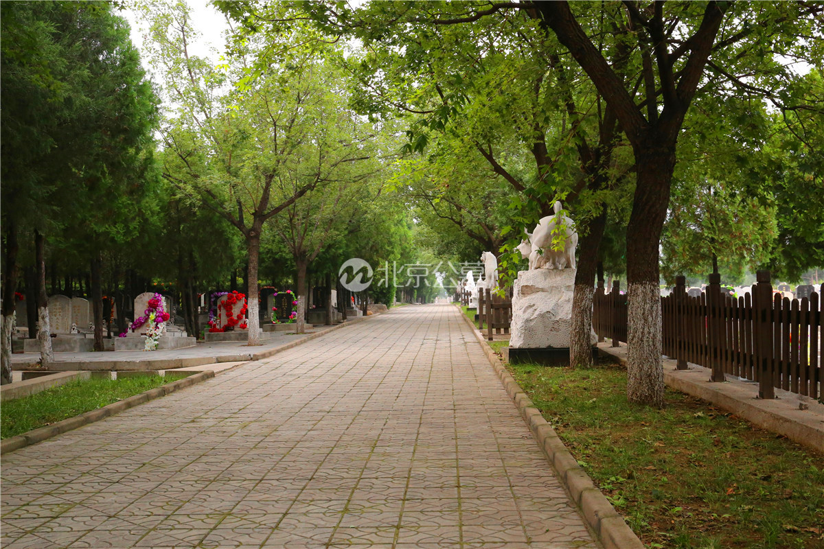 小路